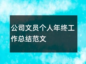 公司文員個人年終工作總結(jié)范文
