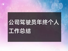 公司駕駛員年終個人工作總結(jié)
