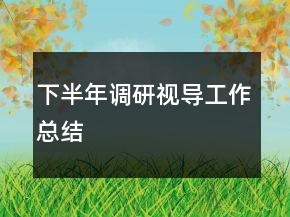下半年調(diào)研視導(dǎo)工作總結(jié)