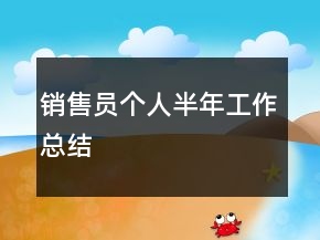 銷售員個(gè)人半年工作總結(jié)