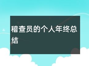稽查員的個人年終總結(jié)