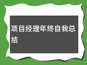 項目經理年終自我總結