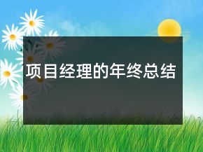 項(xiàng)目經(jīng)理的年終總結(jié)
