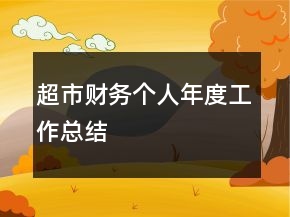超市財務個人年度工作總結