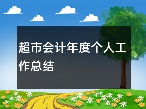 超市會計年度個人工作總結
