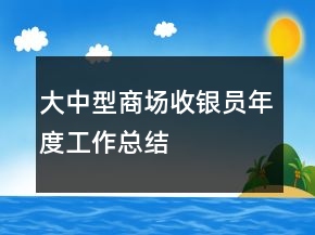 大中型商場收銀員年度工作總結(jié)