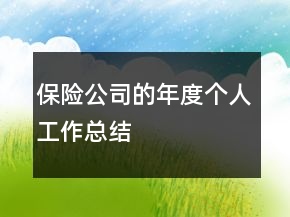 保險(xiǎn)公司的年度個(gè)人工作總結(jié)