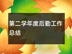 第二學(xué)年度后勤工作總結(jié)