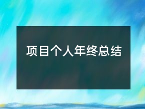 項目個人年終總結(jié)