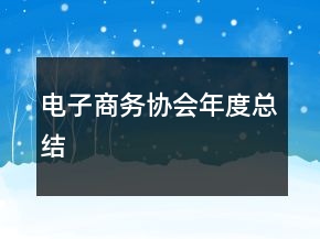 電子商務(wù)協(xié)會(huì)年度總結(jié)