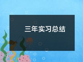 三年實習(xí)總結(jié)