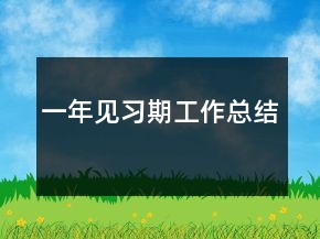 一年見習(xí)期工作總結(jié)