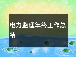 電力監(jiān)理年終工作總結(jié)