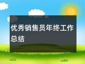 優(yōu)秀銷售員年終工作總結(jié)