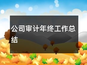 公司審計年終工作總結(jié)