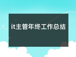 it主管年終工作總結(jié)