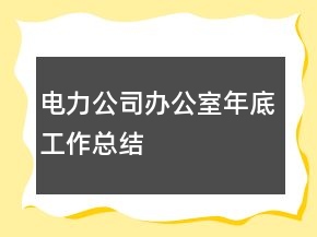 電力公司辦公室年底工作總結