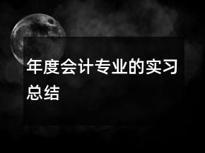年度會計專業(yè)的實習(xí)總結(jié)