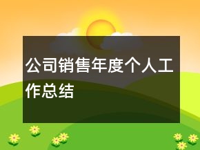 公司銷售年度個(gè)人工作總結(jié)
