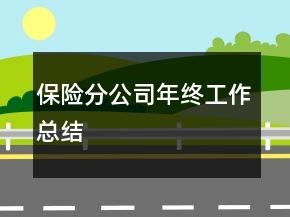 保險(xiǎn)分公司年終工作總結(jié)