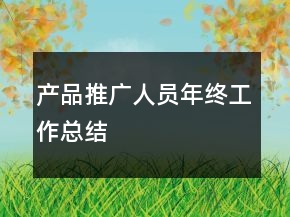 產(chǎn)品推廣人員年終工作總結(jié)