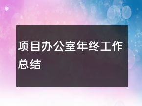 項(xiàng)目辦公室年終工作總結(jié)