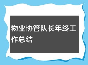 物業(yè)協(xié)管隊長年終工作總結(jié)