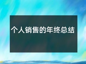 個(gè)人銷(xiāo)售的年終總結(jié)