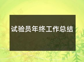 試驗(yàn)員年終工作總結(jié)