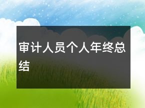 審計(jì)人員個(gè)人年終總結(jié)