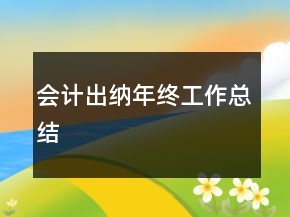 會計出納年終工作總結(jié)