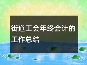 街道工會(huì)年終會(huì)計(jì)的工作總結(jié)