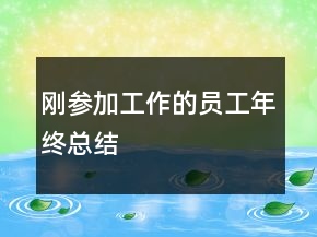 剛參加工作的員工年終總結
