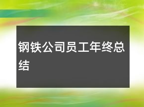 鋼鐵公司員工年終總結(jié)