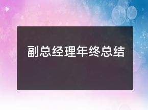 副總經(jīng)理年終總結(jié)