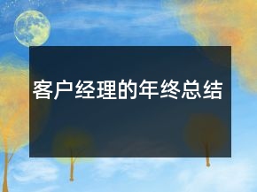 客戶經(jīng)理的年終總結(jié)