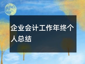 企業(yè)會(huì)計(jì)工作年終個(gè)人總結(jié)