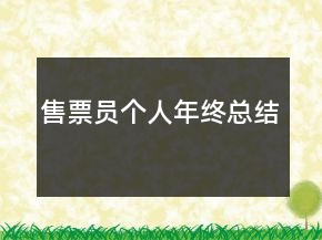 售票員個(gè)人年終總結(jié)