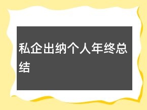 私企出納個人年終總結(jié)