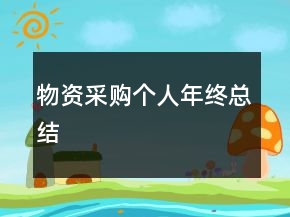 物資采購個人年終總結(jié)