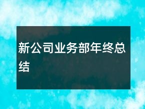 新公司業(yè)務(wù)部年終總結(jié)