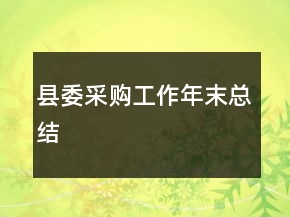 縣委采購工作年末總結