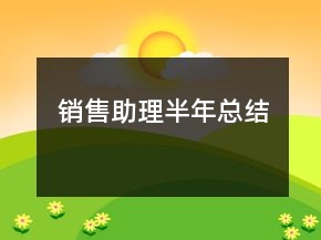 銷售助理半年總結(jié)