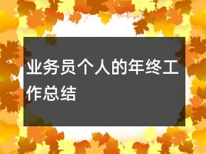 業(yè)務(wù)員個(gè)人的年終工作總結(jié)