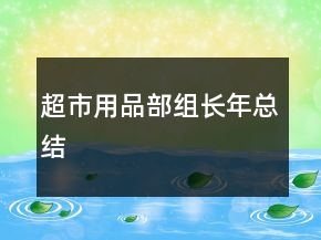 超市用品部組長(zhǎng)年總結(jié)