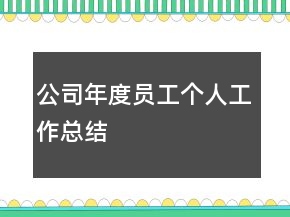公司年度員工個(gè)人工作總結(jié)
