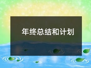年終總結(jié)和計(jì)劃