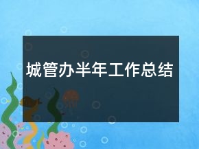 城管辦半年工作總結(jié)