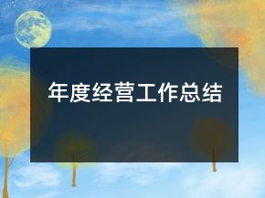 年度經(jīng)營工作總結(jié)