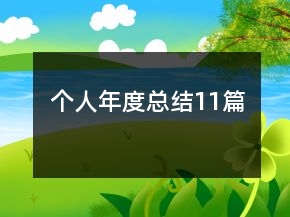 個人年度總結(jié)11篇